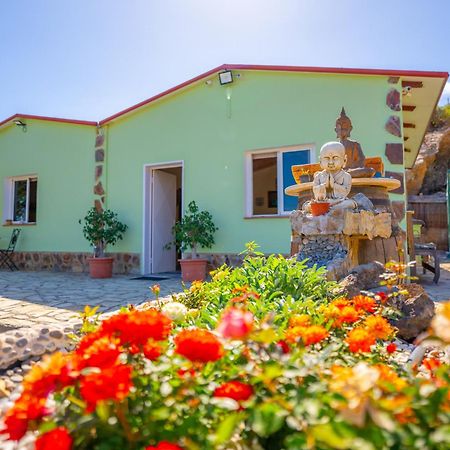 Casa Rural Buda Terra ซานตาครูซ เด เตเนริเฟ ภายนอก รูปภาพ