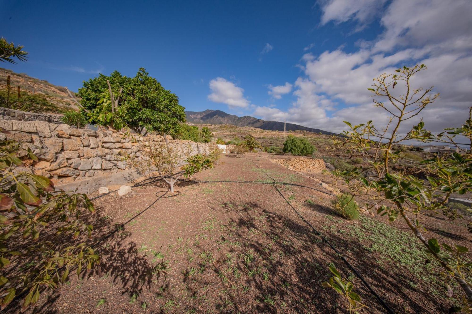 Casa Rural Buda Terra ซานตาครูซ เด เตเนริเฟ ภายนอก รูปภาพ