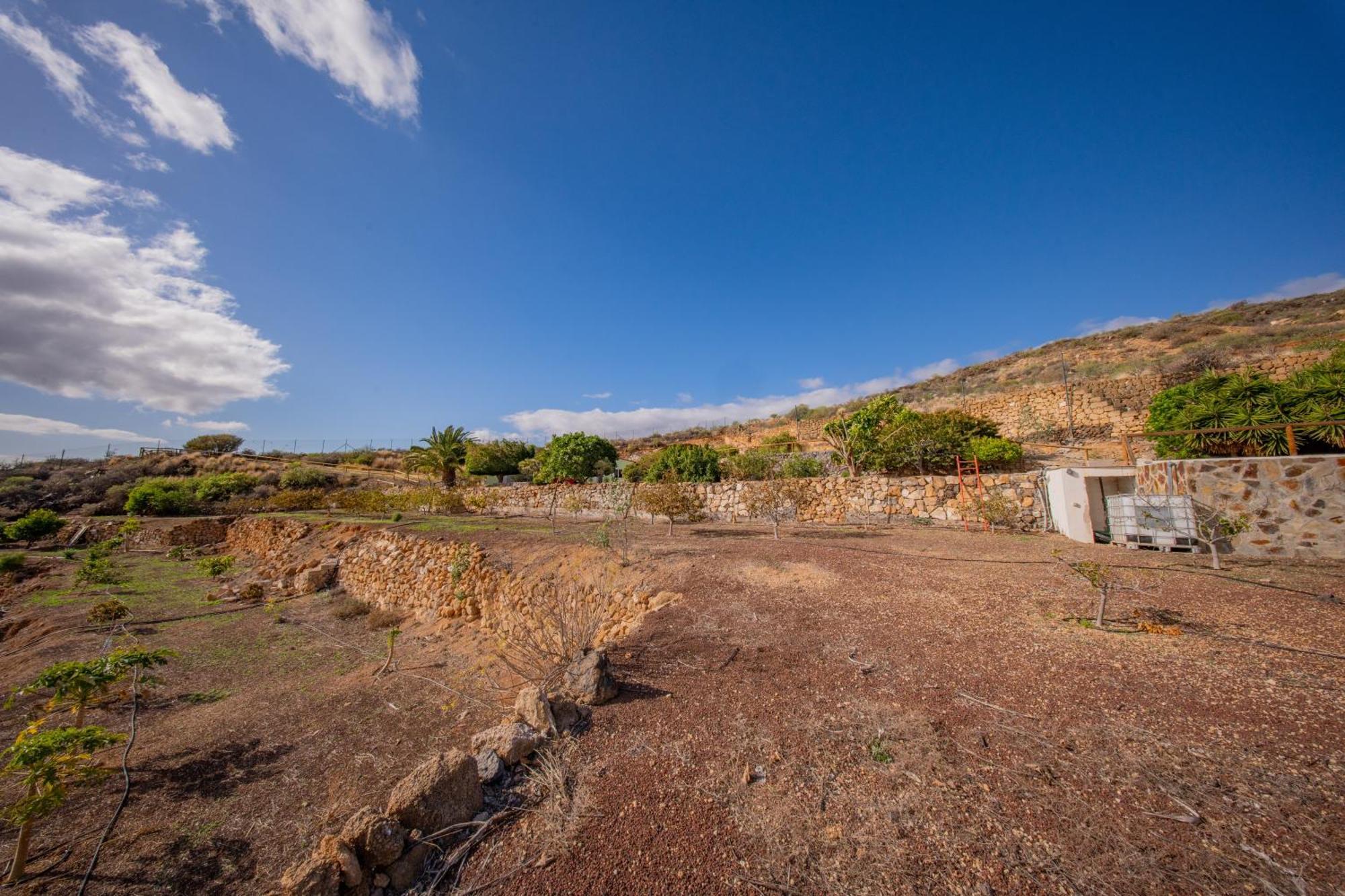 Casa Rural Buda Terra ซานตาครูซ เด เตเนริเฟ ภายนอก รูปภาพ