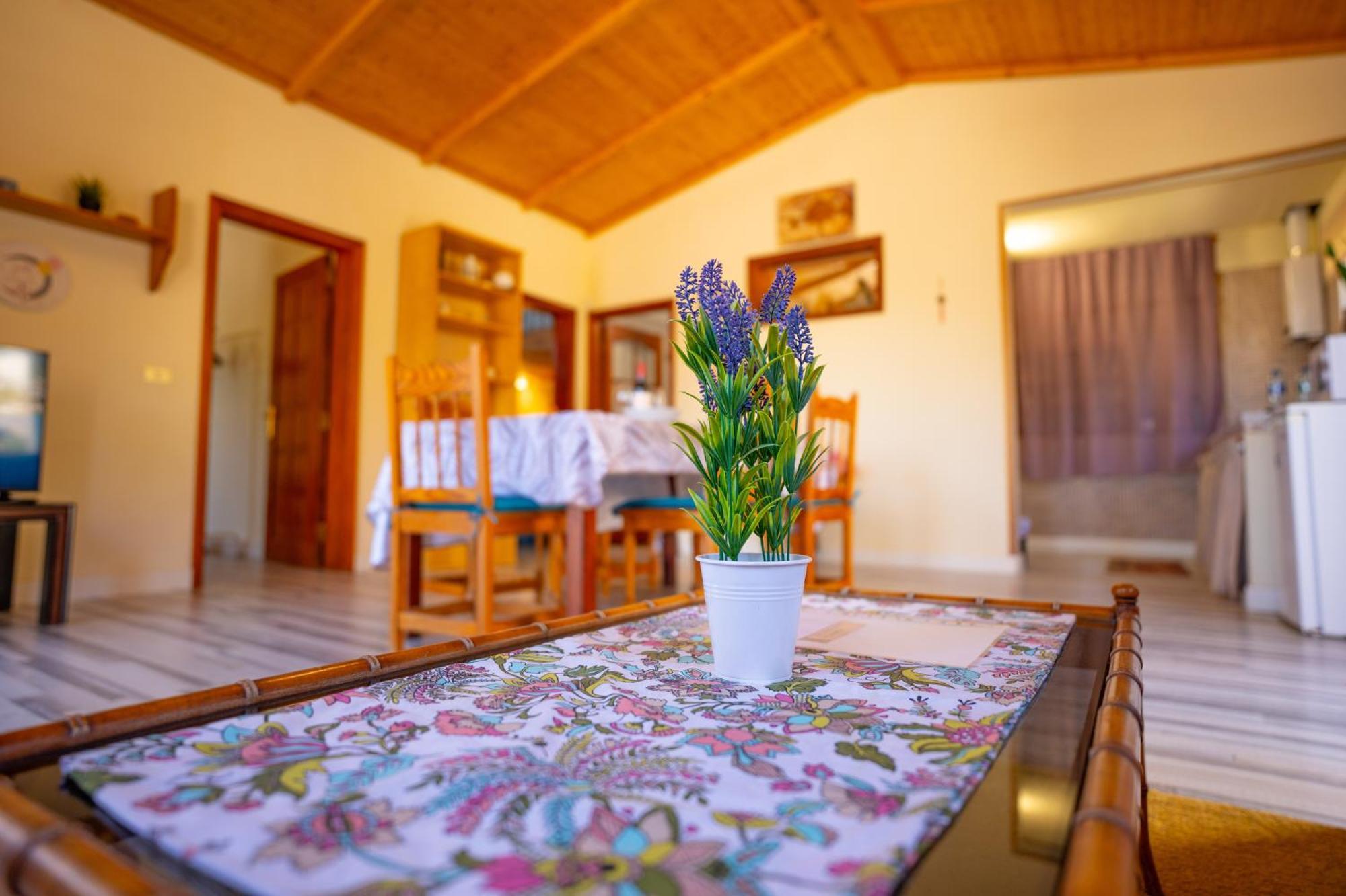 Casa Rural Buda Terra ซานตาครูซ เด เตเนริเฟ ภายนอก รูปภาพ